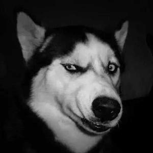 #韩国女神金高恩直播黑丝热舞#