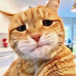 win10系统一开迅雷下载就会断网是什么情况