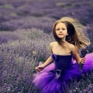 狄仁杰之通天帝国|狄仁杰之通天帝国简介|狄仁