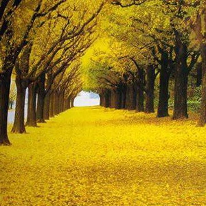 权力的游戏 第三季视频|权力的游戏 第三季花絮