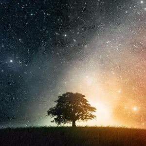 未知死亡|未知死亡简介|未知死亡剧情介绍|未知