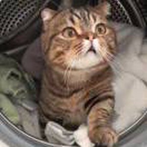 血观音|血观音简介|血观音剧情介绍|血观音迅雷