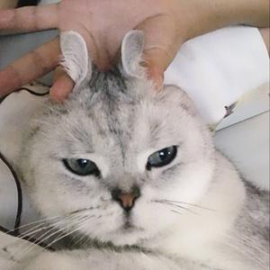 库存走一个 节奏感超强的伴奏