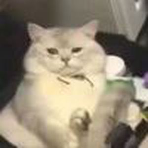 画壁|画壁简介|画壁剧情介绍|画壁