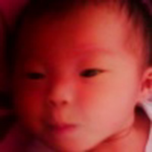 小奶猫卖萌|电影视频在线观看|迅雷电影精彩视