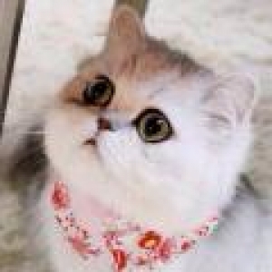 甲沟炎|电影视频在线观看|迅雷电影精彩视频|电