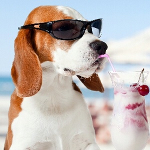 中国队勇夺世界杯2006 国足勇夺世界杯 怀旧恶