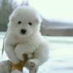 朝鲜阅兵,这背景音乐陪的