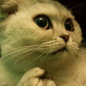 #姆巴佩#一战超亨利!姆巴佩这进球火了,大罗式