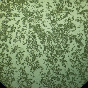 未知死亡|未知死亡简介|未知死亡剧情介绍|未知