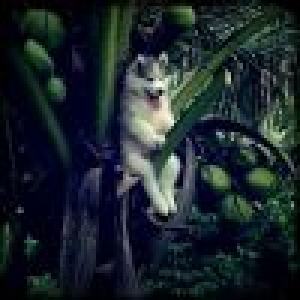 [西游·降魔篇]纪录片,幕后花絮,你没有见过的一