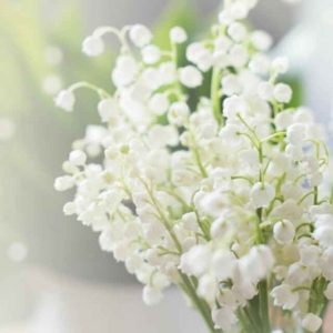 好想你啊心上人《寂静的夜晚》让我变得稍微变