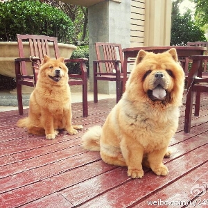 季|国土安全 第七季简介|国土安全 第七季剧情介