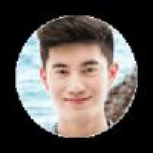 复仇者之死|复仇者之死简介|复仇者之死剧情介