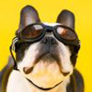 #搞笑趣事#美国一奇葩男子欲和自己的电脑结