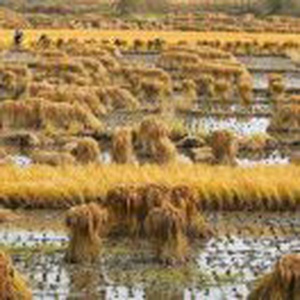 读心术视频|读心术花絮|读心术片段|读心术在线