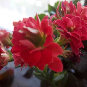 呜呜|电影视频在线观看|迅雷电影精彩视频|电影