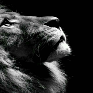 《复仇者联盟3》观影提示:这些场景未出现或有